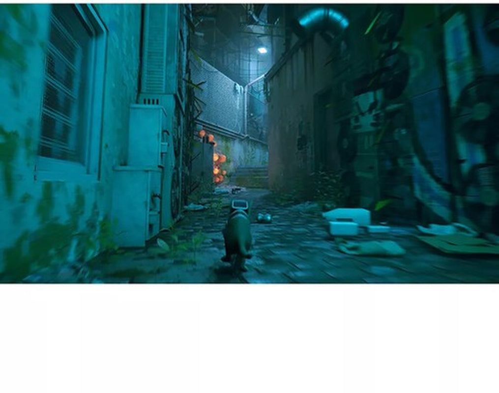 Stray for Xbox One and Series X [New Video Game] Xbox Series X