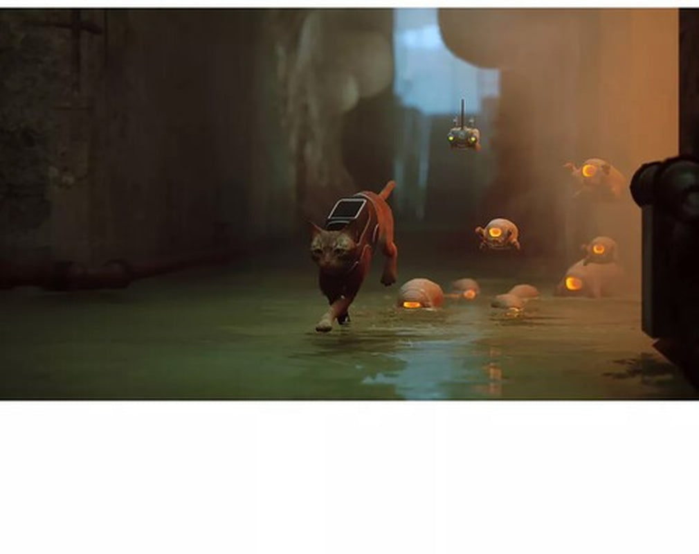 Stray for Xbox One and Series X [New Video Game] Xbox Series X