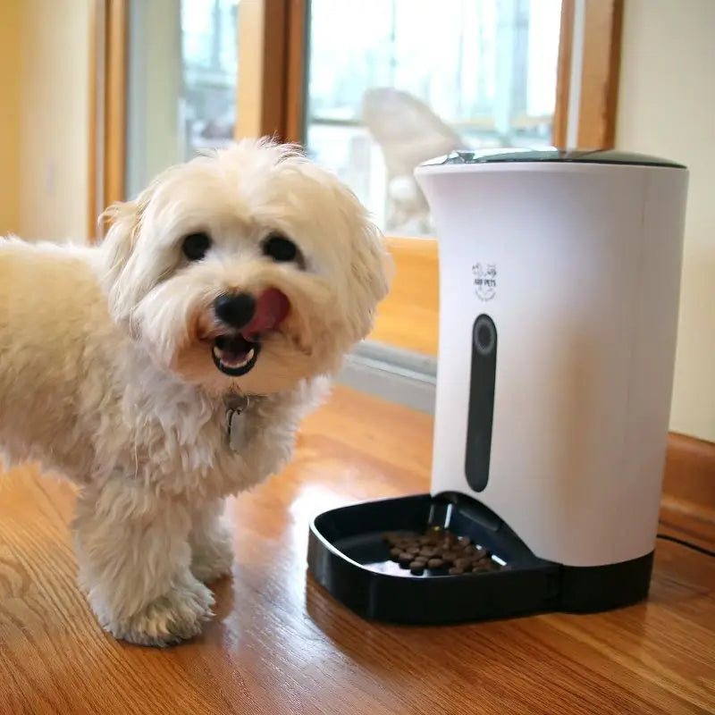Automatic Pet Feeder for Dogs Cats Programmable 4 Meals Voice Recording Portion Control Lockable Lid Dishwasher Safe