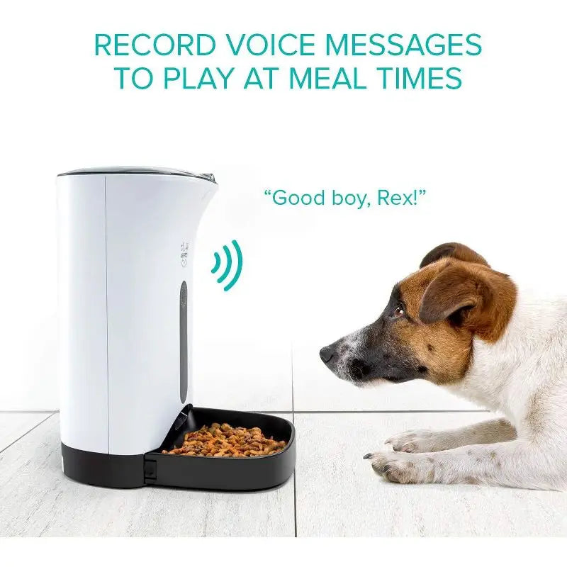 Automatic Pet Feeder for Dogs Cats Programmable 4 Meals Voice Recording Portion Control Lockable Lid Dishwasher Safe